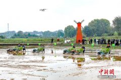 四川合江插下“天府粮仓”第一秧