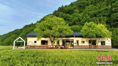 田埂上的商学院 浙江富阳如何孵化“乡村CEO”？